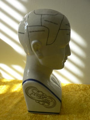 Curiosa - Phrenology head by L.N.Fowler kopen? Bied vanaf 50!