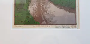 Siemen Dijkstra - Voorjaar - Gasterense Diep kopen? Bied vanaf 250!