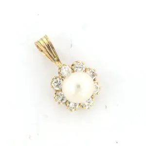 14k geelgouden entourage hanger bezet met parel en zirkonia kopen? Bied vanaf 35!