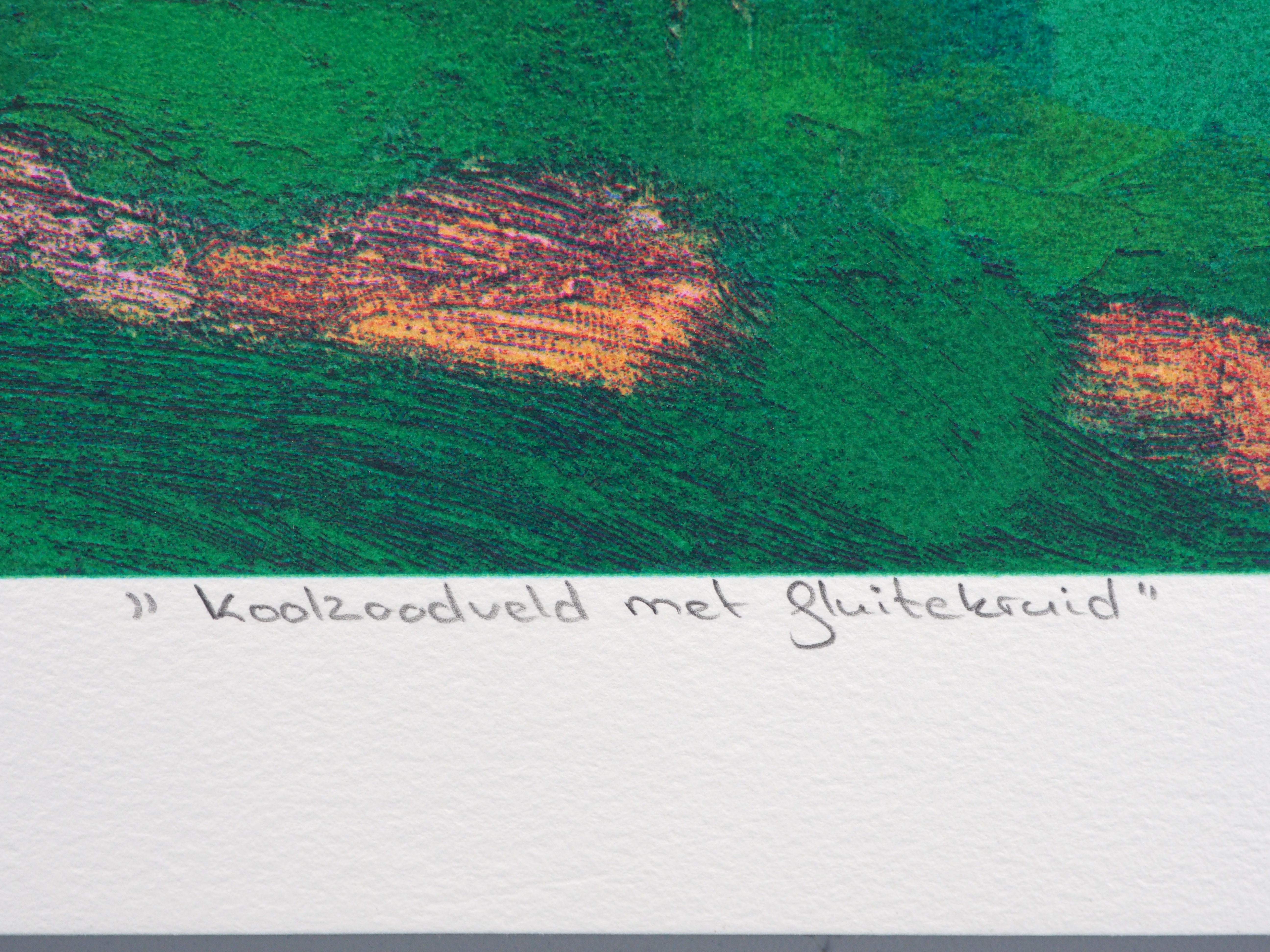 Jentsje Popma - Koolzaadveld met fluitekruid kopen? Bied vanaf 70!