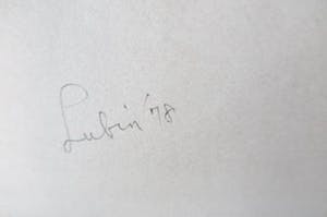 Aryeh Lubin - Vier vrouwen vieren het leven kopen? Bied vanaf 1!