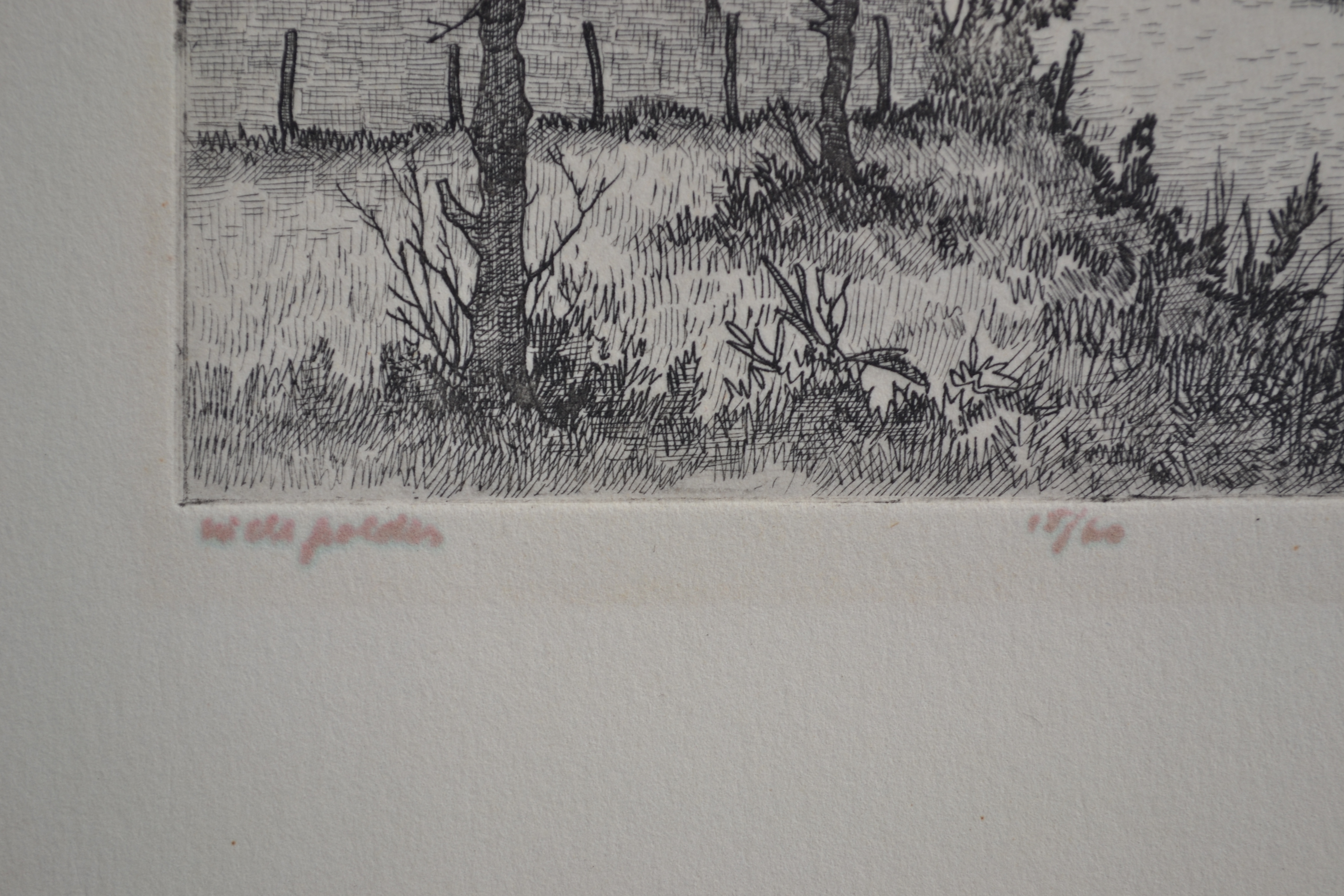 Peter Cox - Ets - In de polder - Gesigneerd - oplage 15/60 kopen? Bied vanaf 20!