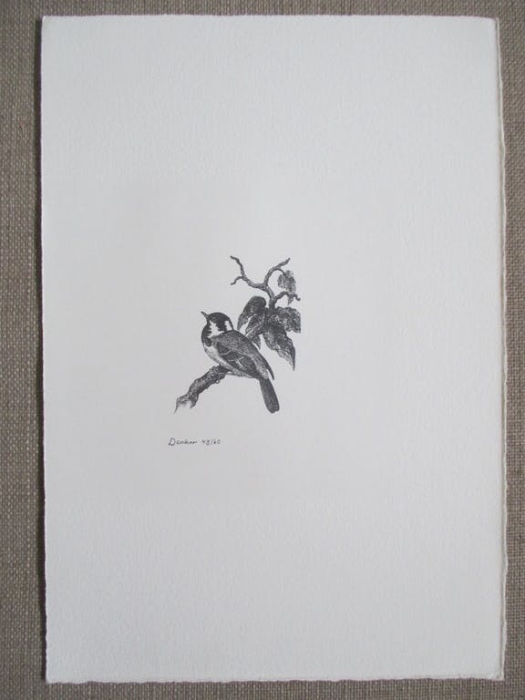 Denkor -  litho vogeltje kopen? Bied vanaf 10!