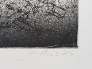 Jan Prins - Prachtige Ets - Gesigneerd in potlood kopen? Bied vanaf 15!
