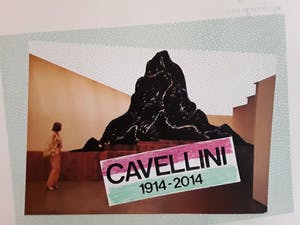 Woody van Amen - Cavellini 1914-2014,Campo di tutti capi kopen? Bied vanaf 10!