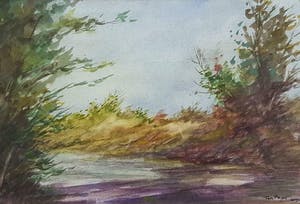 Ton Pape - Landschap kopen? Bied vanaf 55!