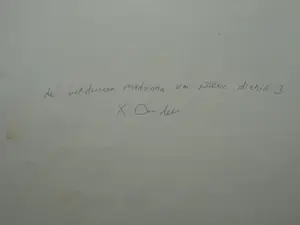 Xandra Donders - Gemengde techniek , Verdwenen Madonna van Pieve di Chio - 70 x 100 cm. kopen? Bied vanaf 50!