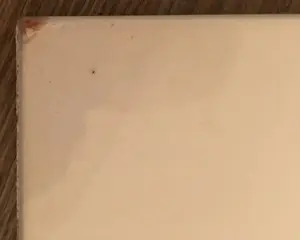 Margarita Nicolaas - Unieke stier in paars & blauw kopen? Bied vanaf 50!