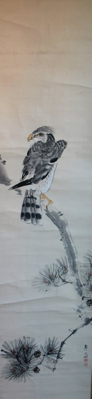 Niet of onleesbaar gesigneerd - Japanse scroll, “Havik op tak” - Aquarelverf en inkt op papier, 19e Eeuw kopen? Bied vanaf 10!
