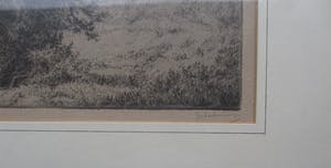 Jan Coenraad Nachenius - Ets verstild Veluwse landschap. kopen? Bied vanaf 75!