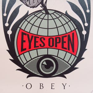 Buy Shepard Fairey - Eyes Open? Bid from 1!