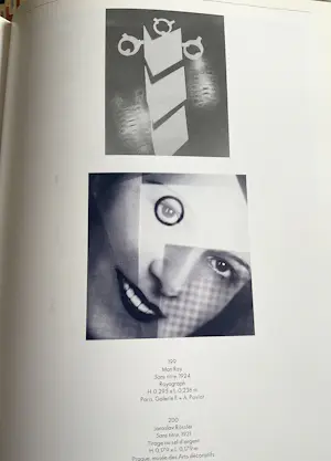 Diverse auteurs - Prague 1900-1938, Capitale Secrète des avant-gardes kopen? Bied vanaf 20!