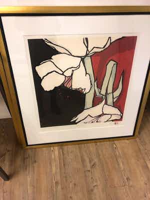 Fon Klement - Amaryllis verkocht voor € 100!