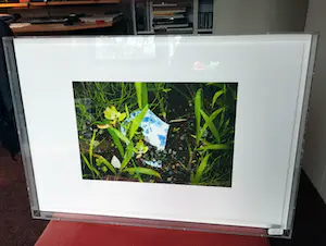 Fiona Tan - Aftermath -2014- kopen? Bied vanaf 175!