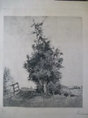 Niet of onleesbaar gesigneerd - 10 diverse etsen Landschap oa Matthes v.Leusden Vrolijk Heyning kopen? Bied vanaf 1!