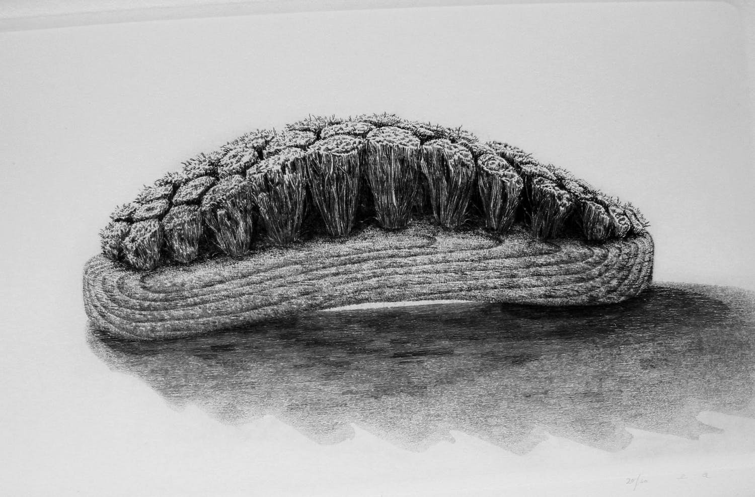 Gerard van Rooy - Sleets II verkocht voor € 40!