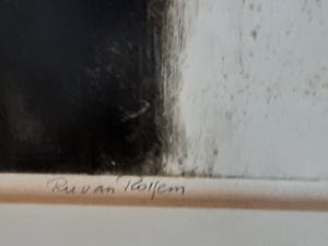 Ru van Rossem - Camarque kopen? Bied vanaf 120!