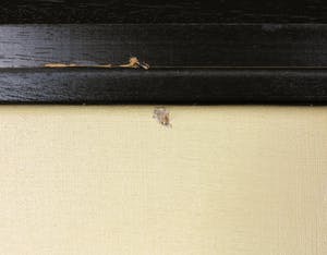 Niet of onleesbaar gesigneerd - Acryl op doek, Abstracte compositie - Ingelijst (Groot) kopen? Bied vanaf 10!