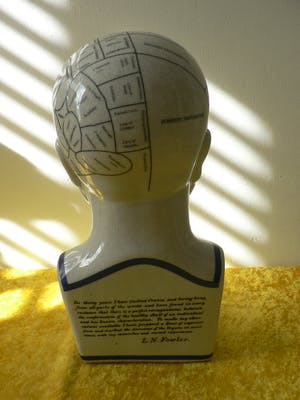 Curiosa - Phrenology head by L.N.Fowler kopen? Bied vanaf 50!