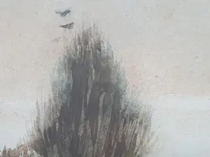 Willem de Zwart - In de polder kopen? Bied vanaf 135!