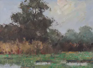 Arnout van Gilst - Eenden bij het water kopen? Bied vanaf 150!