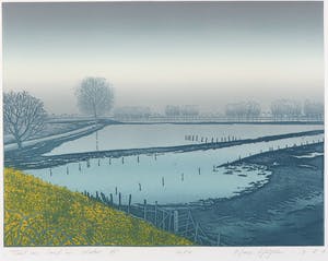 Hans Heijman - Kleurenets, Taal van land en water A kopen? Bied vanaf 1!