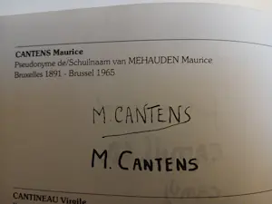 Maurice Cantens - Abstract kopen? Bied vanaf 120!