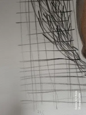 David Stein - D'apres Picasso kopen? Bied vanaf 150!