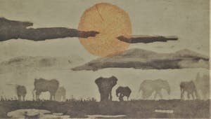 Anna Jeretic - Elephants kopen? Bied vanaf 50!