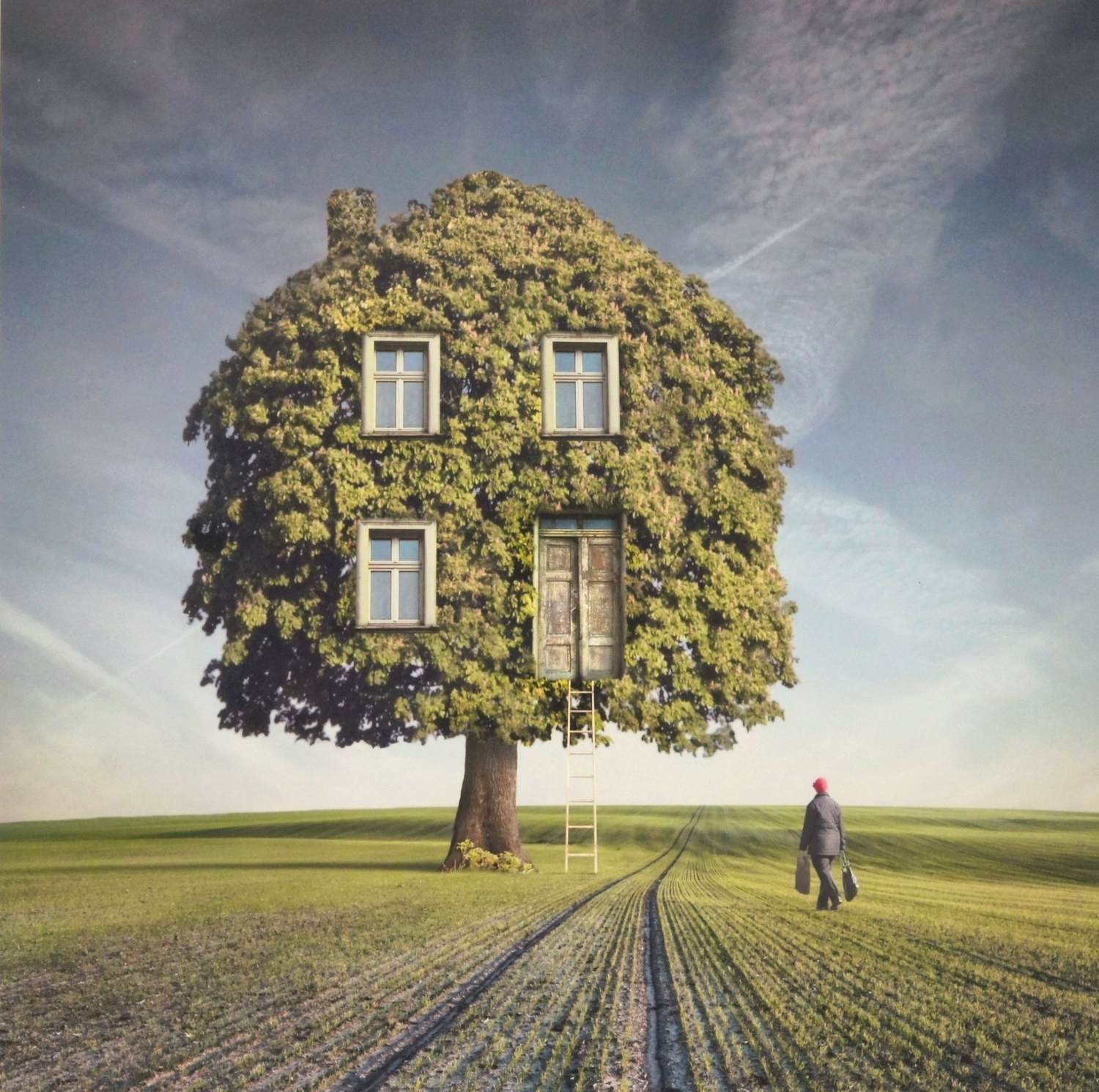 Dariusz Klimczak - 'Thuiskomen' (2013) kaufen? Bieten Sie von 40!