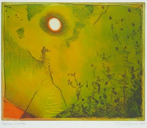 Ronald Tolman - Kleurenets, Eenzame violist - Ingelijst kopen? Bied vanaf 100!