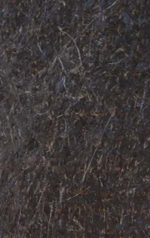 Niet of onleesbaar gesigneerd - Olieverf op doek, Untitled kopen? Bied vanaf 1!
