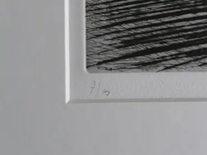 Ronald Noorman - Landschap kopen? Bied vanaf 50!