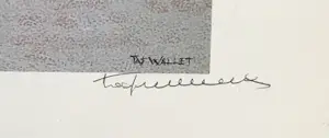 Taf Wallet - De kusttram kopen? Bied vanaf 65!