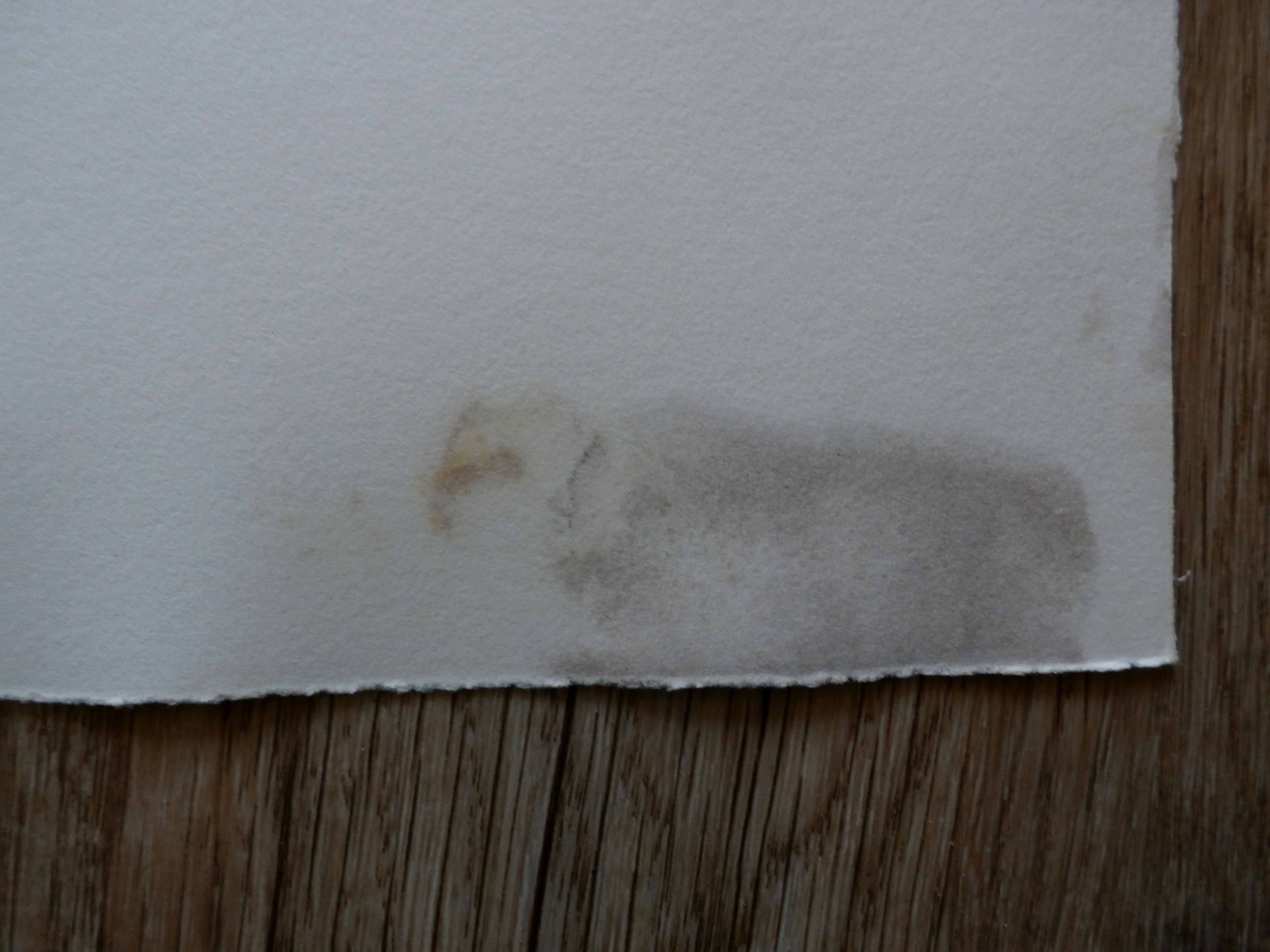 Hugo Claus - Litho: Fuga (herfst 2) - 1979 kopen? Bied vanaf 50!