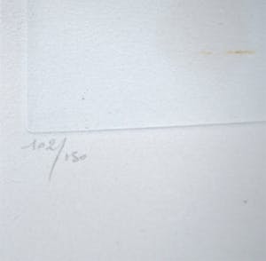 Sam Drukker - LITHO naakt >extra> ETS door Leonor FINI kopen? Bied vanaf 75!