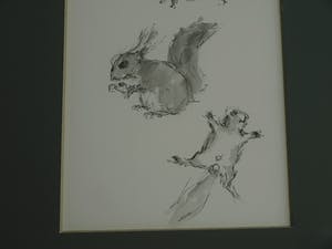 Niet of onleesbaar gesigneerd - Ingelijste pentekening en gewassen inkt , “Eekhoorn“ kopen? Bied vanaf 1!