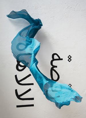 Studio Antwan - Filmaffiche Coco Cabasa - IDFA 2016 kopen? Bied vanaf 75!