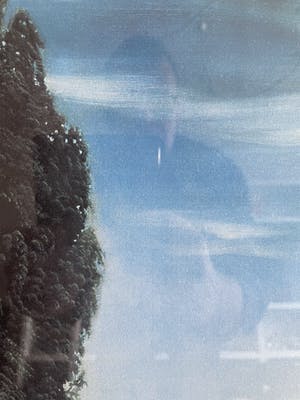 Carel Willink - Mooie grote zeefdruk kopen? Bied vanaf 225!