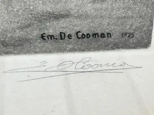 Emiel De Cooman - de nattendries kopen? Bied vanaf 40!