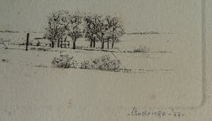 Hans Andringa - Ets , Op het nest van de klepperaar – oplage 37/40 - 1977 kopen? Bied vanaf 1!