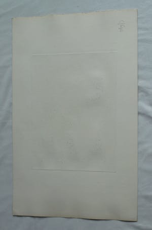 Ab Steenvoorden - Ets , Mystifikaties – Surrealistische voorstelling, 1972 - 28½ x 22 cm kopen? Bied vanaf 1!
