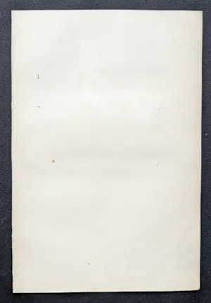 Jean-Gabriel Pretre - handgekleurde gravure vogel "Icterus guttulatus" kopen? Bied vanaf 20!