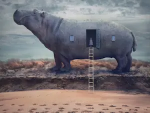 Dariusz Klimczak - 'Hippohome' - (2012) kaufen? Bieten Sie von 85!