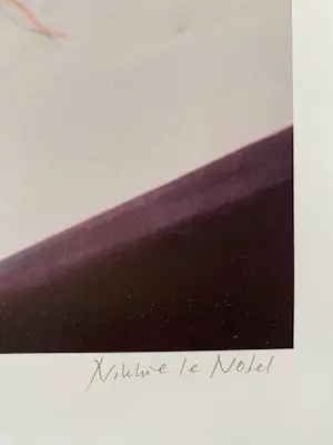 Nikkie le Nobel - Onbekend kopen? Bied vanaf 35!