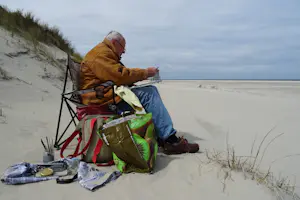 Franklin Meijer - Waddenzee met Griend en kokmeeuw kopen? Bied vanaf 25!