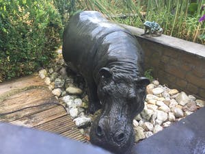 Stefano Patti - HIPPOPOTAMUS kopen? Bied vanaf 10000!