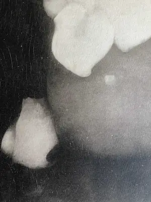 Jan Mankes - Heliogravure " Aronskelken" kopen? Bied vanaf 1!