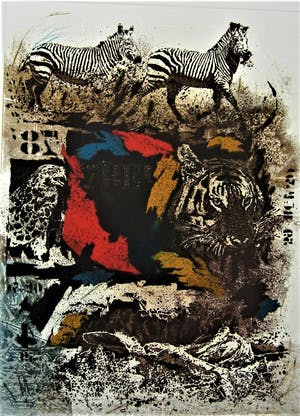 Simon Koene - 2 Zebra's kopen? Bied vanaf 30!