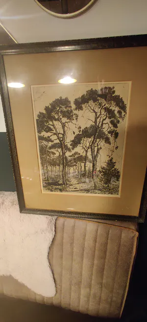 Suze de Lint - Eigendruk ets kopen? Bied vanaf 29!